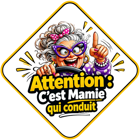 Plaques-Auto-Ventouse-pour-Voiture Sublimation Store
