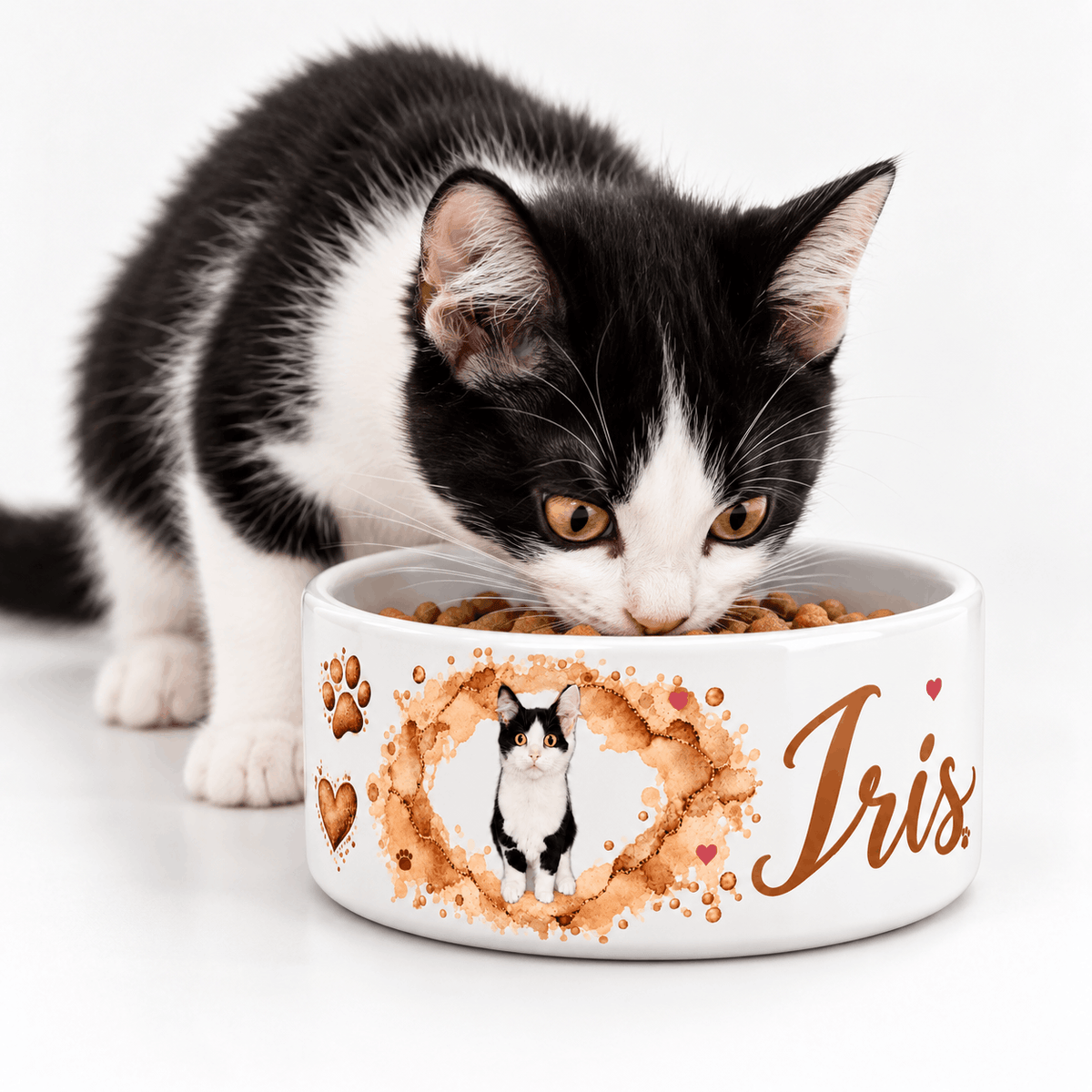Chaton noir et blanc mangeant ses croquettes dans sa gamelle personnalisée céramique avec sa photo et son prénom