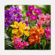 Lingette orchidées multicolores, jardin tropical luxuriant