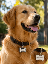 Golden retriever portant une médaille os gravée avec le prénom Tom au collier, avec zoom verso numéro de téléphone